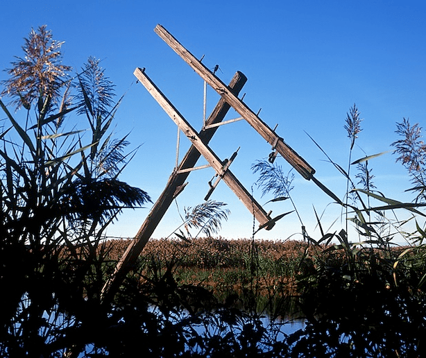 Screen shot 2012-02-29 at 10.09.10 AM