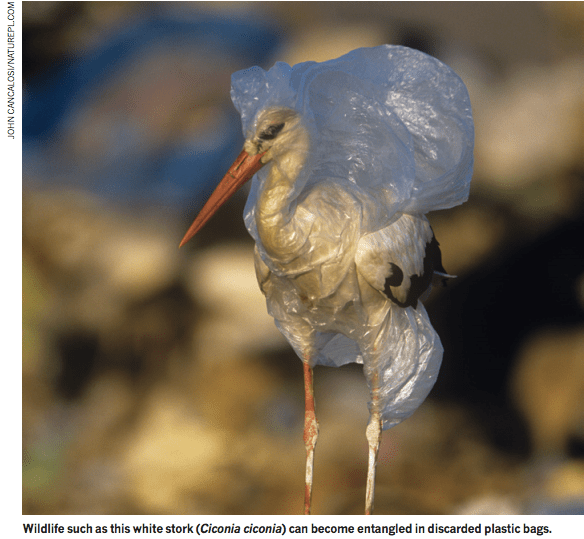 Screen Shot 2013-02-15 at 10.07.15 AM