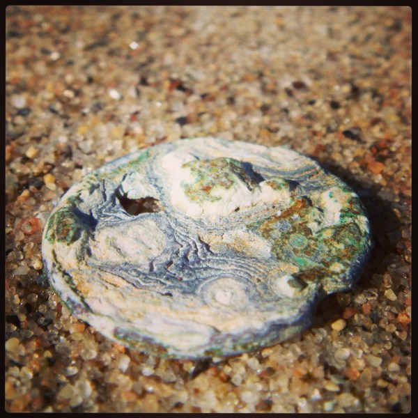This is a penny after salt water tides have washed over it. Photograph by Max Liboiron.
