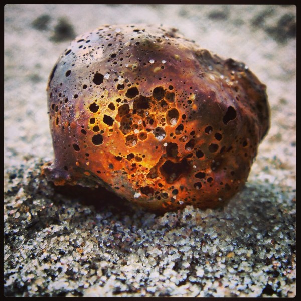 This is a piece of bitmus coal. One of the fascinating things about Deadhorse Bay is the dated character of the waste. In the early 20th century, waste consisted of more coal, no plastic, and less food scraps than it is today, though the per capita tonnage remains about the same. Photograph by Max Liboiron. Creative Commons License.