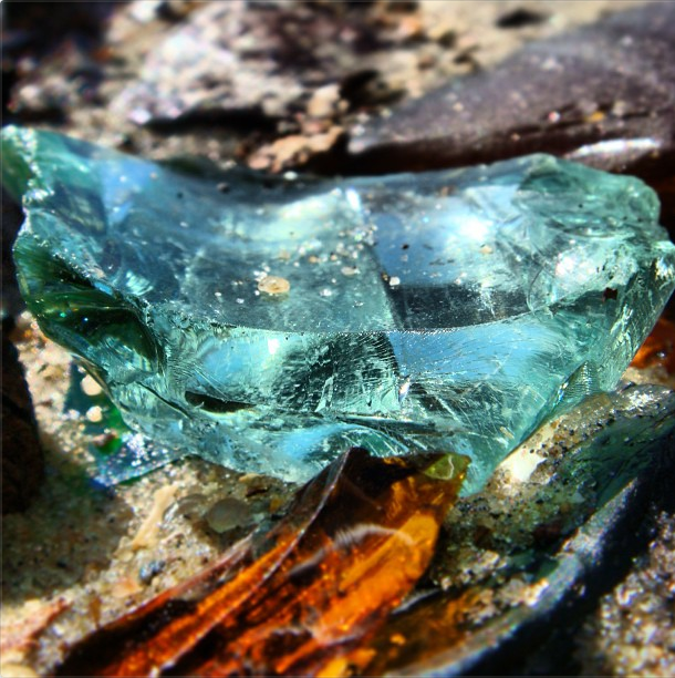 This glass, on the other hand, is fresh and newly broken. Sometimes this is due to new glass coming up from underground, and sometimes the result of scavengers and other top-side elements breaking glass that was formerly intact. Photograph by Max Liboiron.