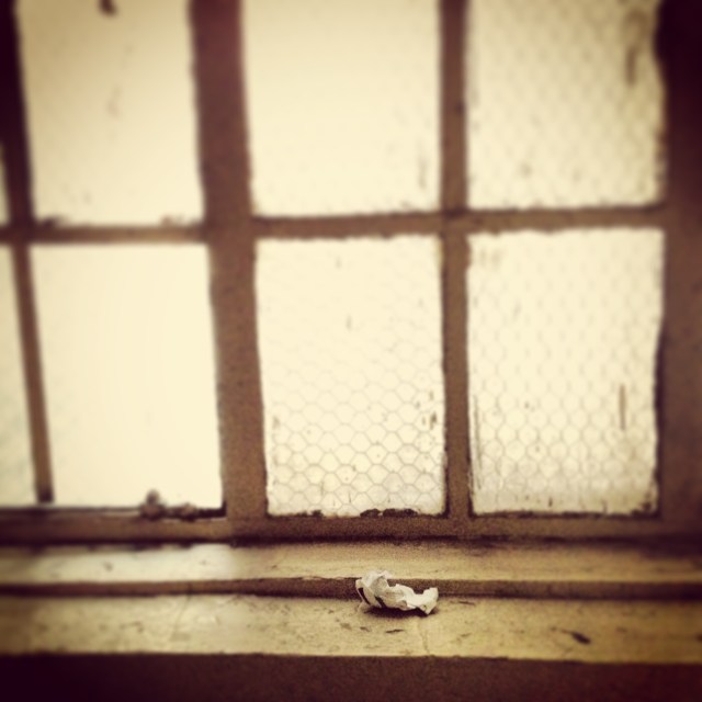 #litterati. Photo by the author. 