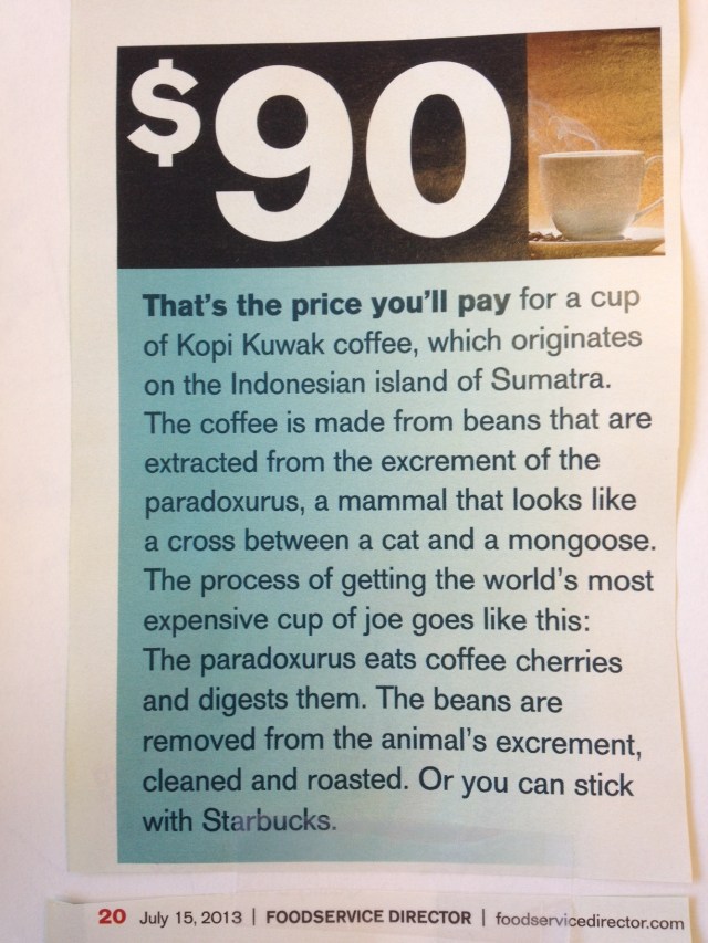 Paradoxurus, or the best cup of joe