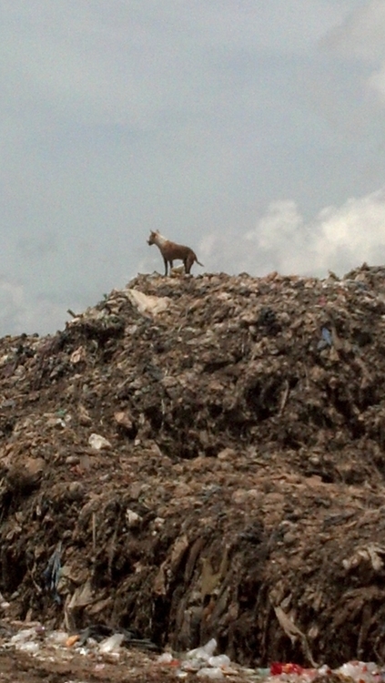 tumblr_inline_mmg9zncIfW1qz4rgp