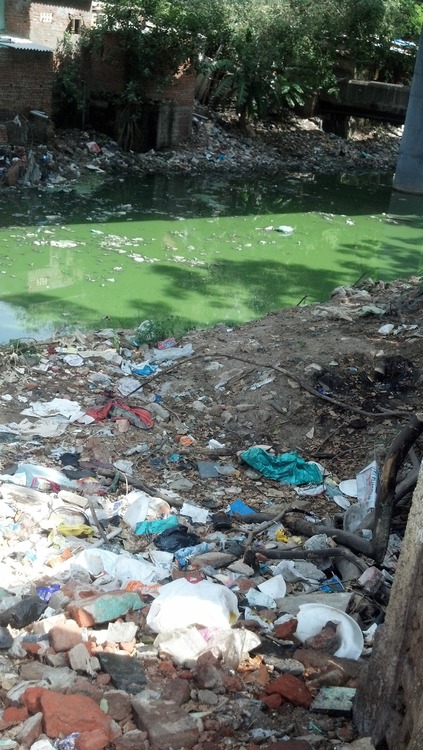 Photograph by Ashwini Srinivasamohan.