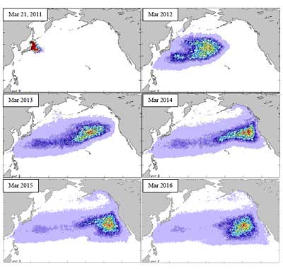Image University of Hawaiʻi at Mānoa showing the probable pathways of the debris that entered the ocean on March 11, 2011, as estimated from historical trajectories of drifting buoys. Snapshots are shown projected each March from 2011 to 2016.