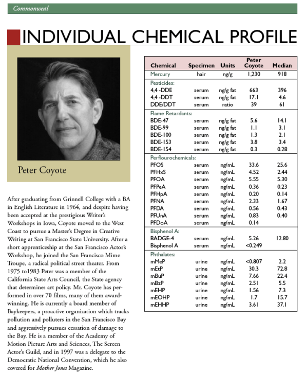 Page from Commonweal's report "Is It In Us?", 2005. 