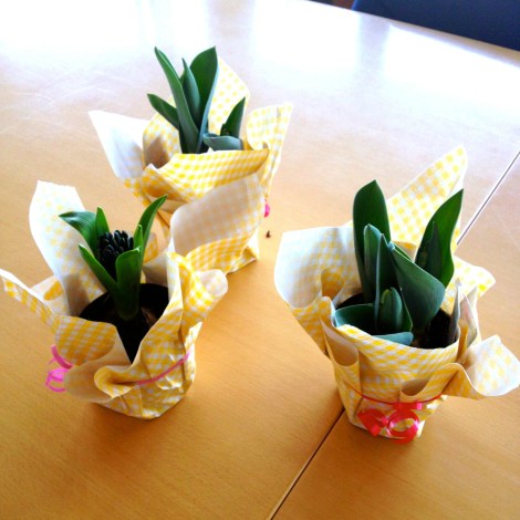 Take-home gifts given by the corporation to the members of the local community advisory committee. Author’s photo.