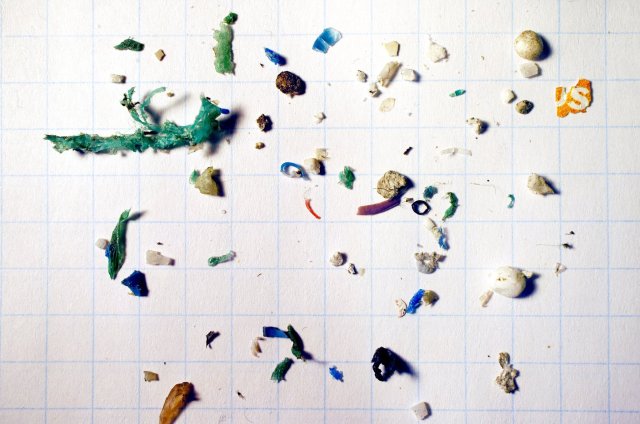 Microplastics smaller than 5mm recovered from the surface Mystic River, Boston, in September 2015. There is a high incidence of polystyrene. Image by Max Liboiron. 