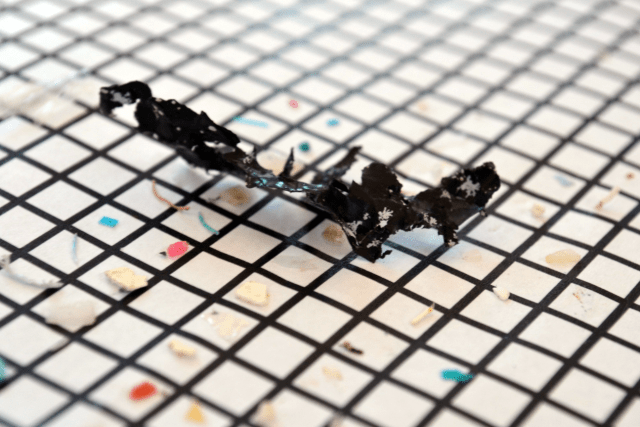 Plastic fragments found in the North Atlantic. Photo by Annie McBride. 2015.