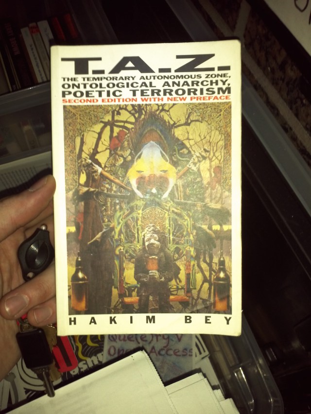 T.A.Z. book (photo: M. Oman-Reagan)