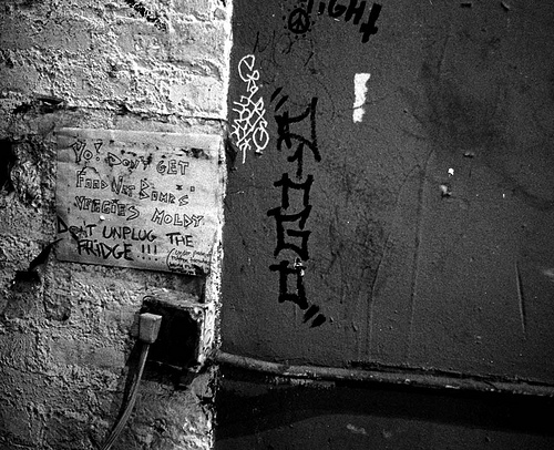 “Yo! Don’t get Food Not Bombs’ veggies moldy. Don’t unplug the fridge!!!” (The sensory world of Food Not Bombs’ shared kitchen space, New York City.) Photograph courtesy of Vikki Law.