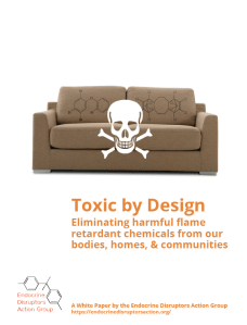 toxicbydesign-report-cover