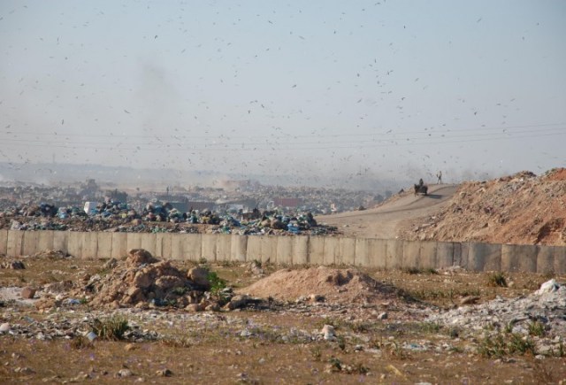 cirelli-florin2-720x490